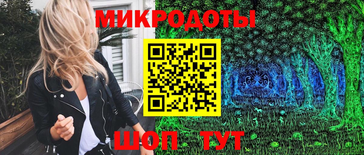 Псилоцибиновые грибы Psilocybe Коммунар