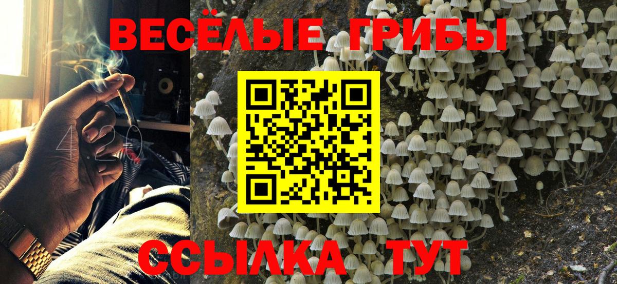 где можно купить наркотик  Галлюциногенные грибы Cubensis  Вход с VPN  Коммунар 